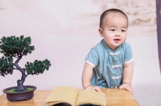陇南可爱的企鹅宝宝